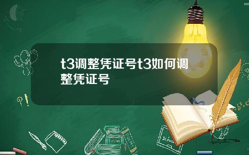 t3调整凭证号t3如何调整凭证号