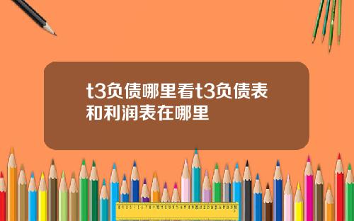 t3负债哪里看t3负债表和利润表在哪里