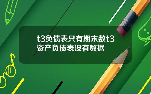 t3负债表只有期末数t3资产负债表没有数据