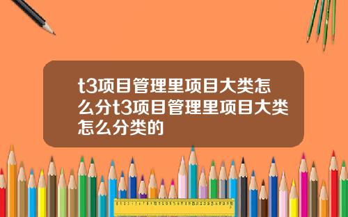 t3项目管理里项目大类怎么分t3项目管理里项目大类怎么分类的