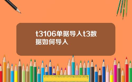 t3106单据导入t3数据如何导入