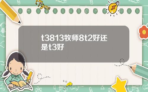 t3813牧师8t2好还是t3好