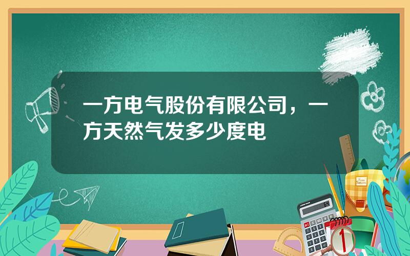 一方电气股份有限公司，一方天然气发多少度电