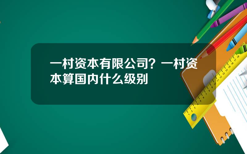 一村资本有限公司？一村资本算国内什么级别