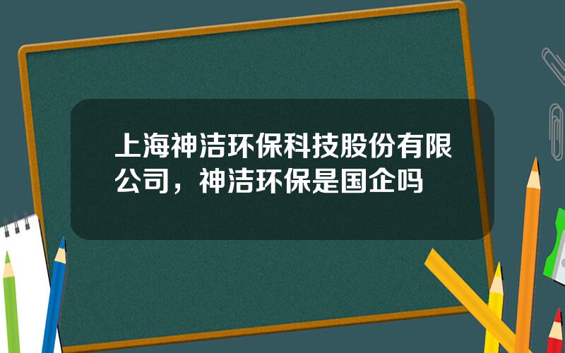 上海神洁环保科技股份有限公司，神洁环保是国企吗
