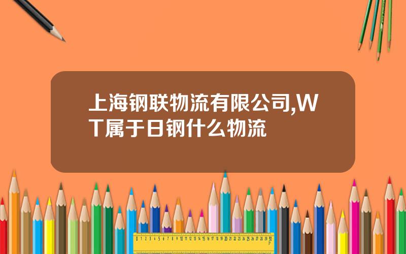 上海钢联物流有限公司,WT属于日钢什么物流
