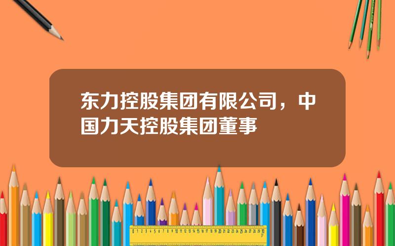 东力控股集团有限公司，中国力天控股集团董事
