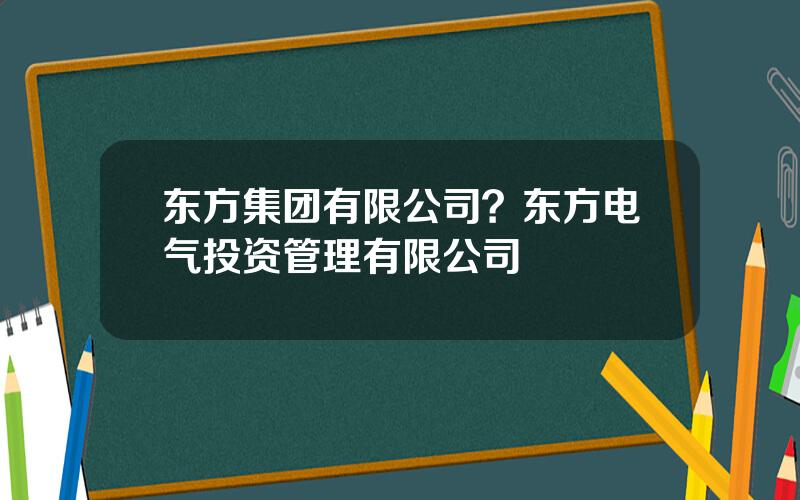 东方集团有限公司？东方电气投资管理有限公司