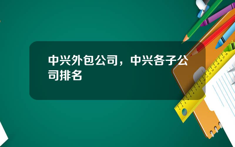 中兴外包公司，中兴各子公司排名