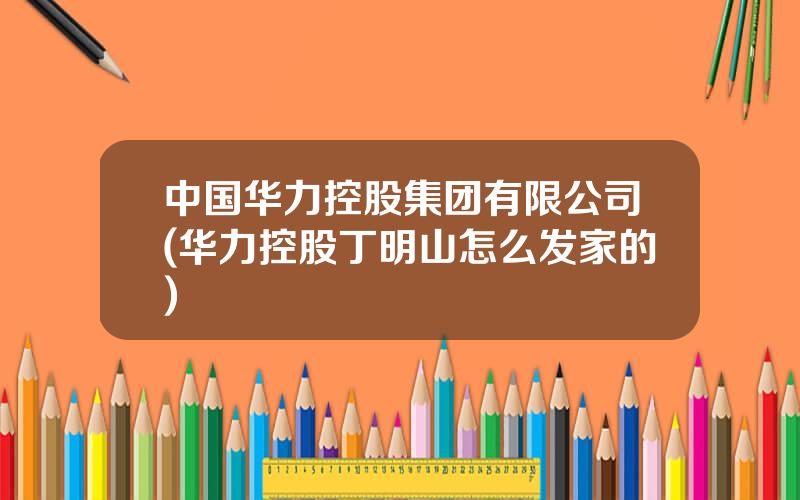 中国华力控股集团有限公司(华力控股丁明山怎么发家的)