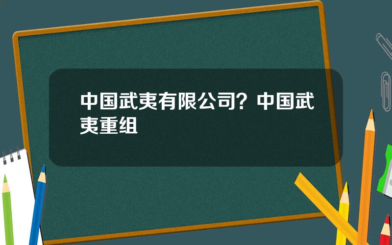 中国武夷有限公司？中国武夷重组