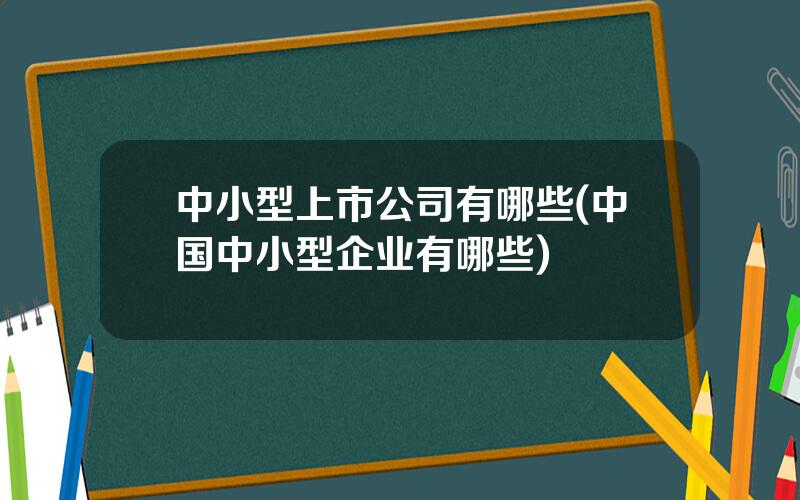 中小型上市公司有哪些(中国中小型企业有哪些)