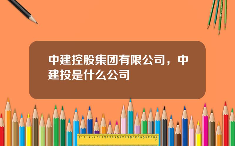 中建控股集团有限公司，中建投是什么公司