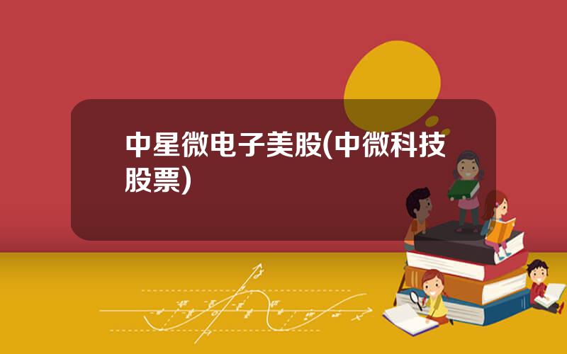 中星微电子美股(中微科技股票)