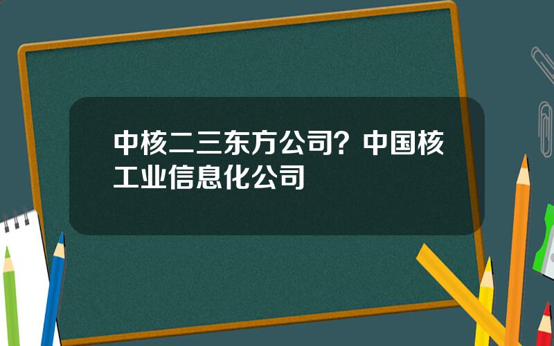 中核二三东方公司？中国核工业信息化公司
