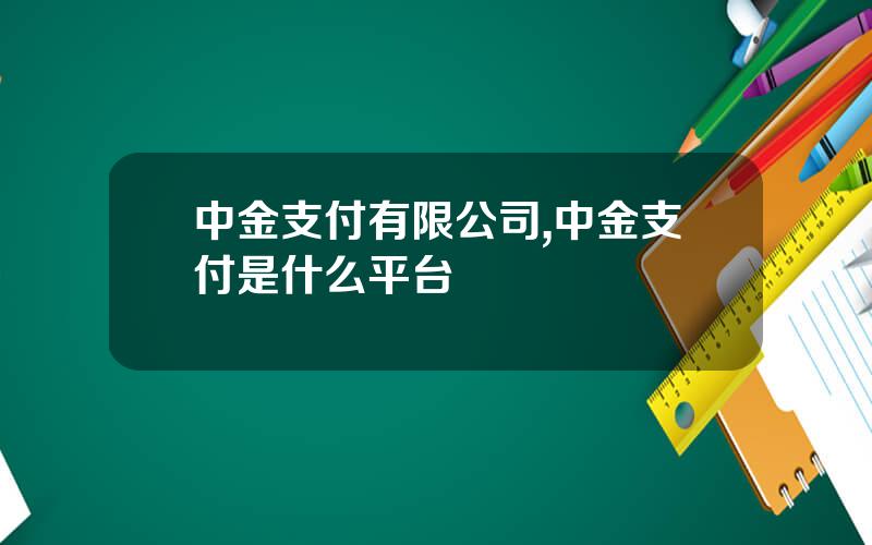 中金支付有限公司,中金支付是什么平台