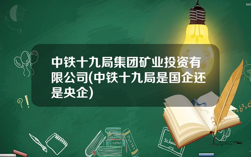 中铁十九局集团矿业投资有限公司(中铁十九局是国企还是央企)