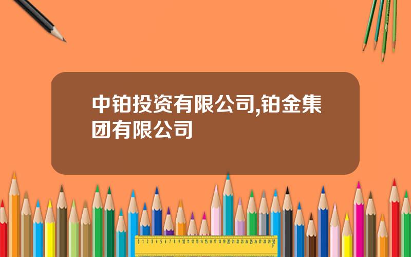 中铂投资有限公司,铂金集团有限公司