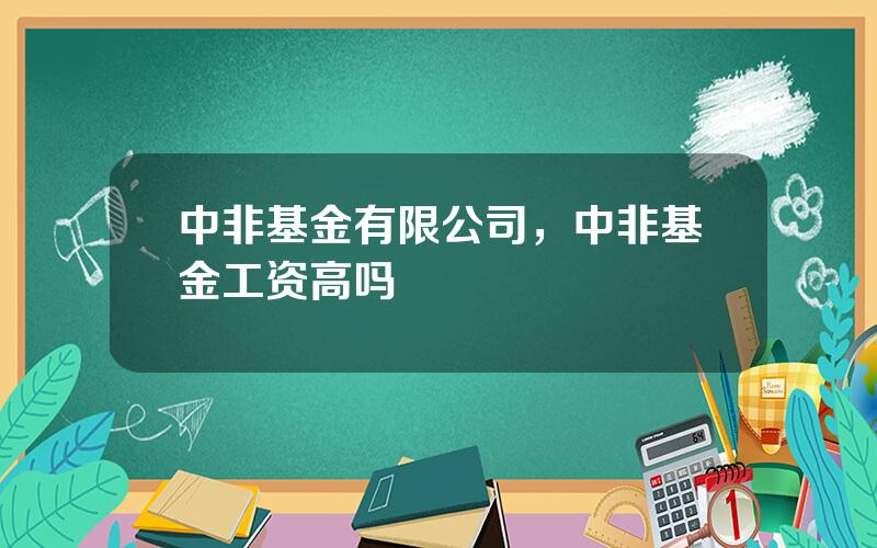 中非基金有限公司，中非基金工资高吗