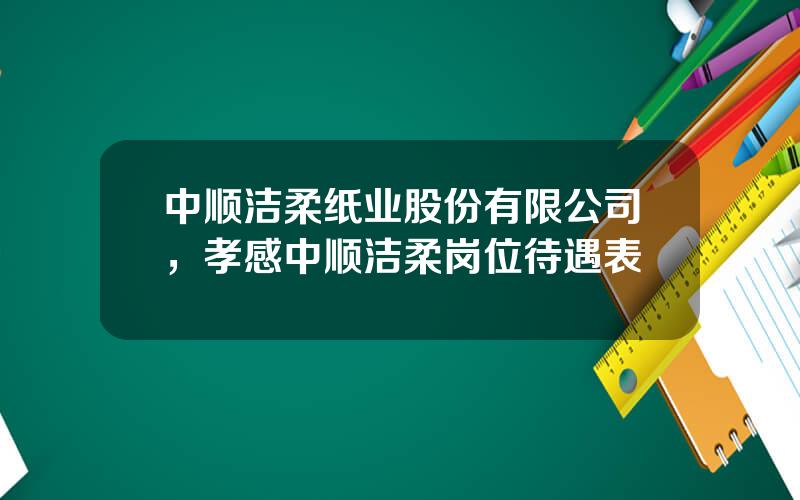中顺洁柔纸业股份有限公司，孝感中顺洁柔岗位待遇表
