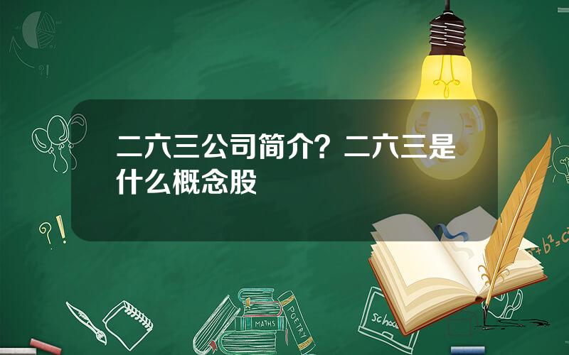 二六三公司简介？二六三是什么概念股