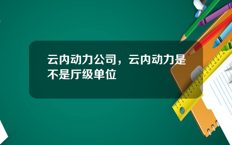 云内动力公司，云内动力是不是厅级单位