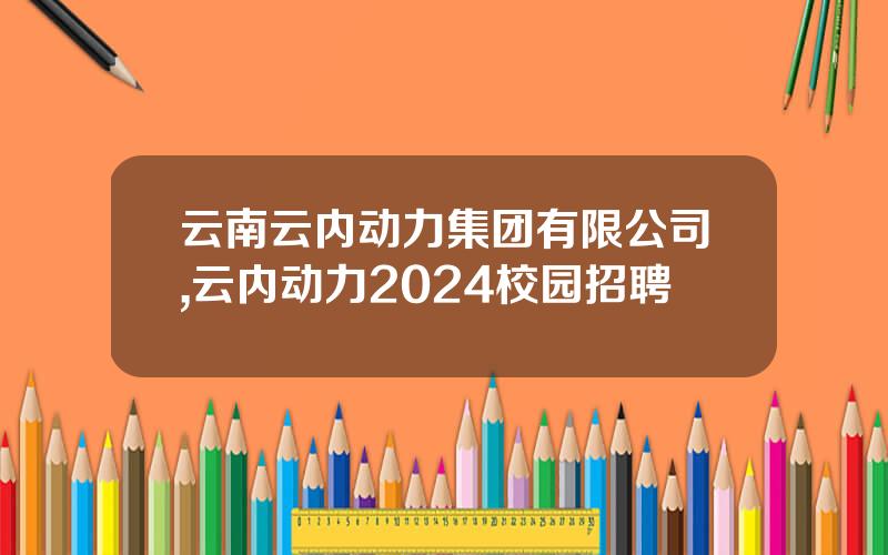云南云内动力集团有限公司,云内动力2024校园招聘