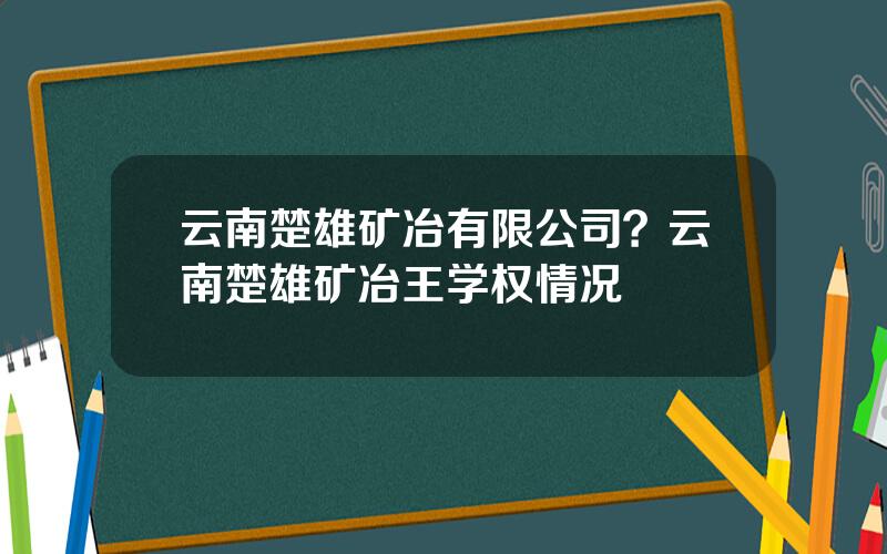 云南楚雄矿冶有限公司？云南楚雄矿冶王学权情况