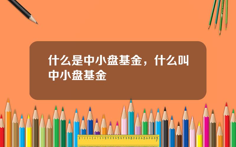 什么是中小盘基金，什么叫中小盘基金