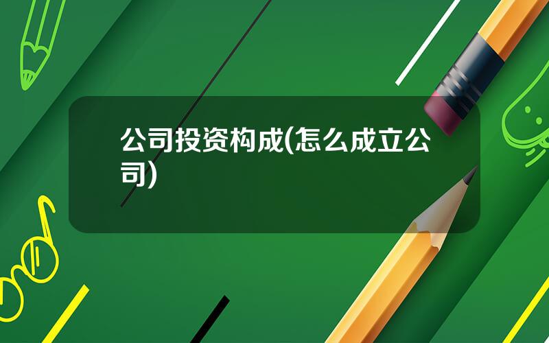 公司投资构成(怎么成立公司)