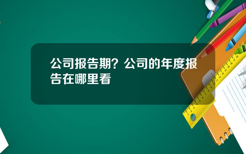 公司报告期？公司的年度报告在哪里看