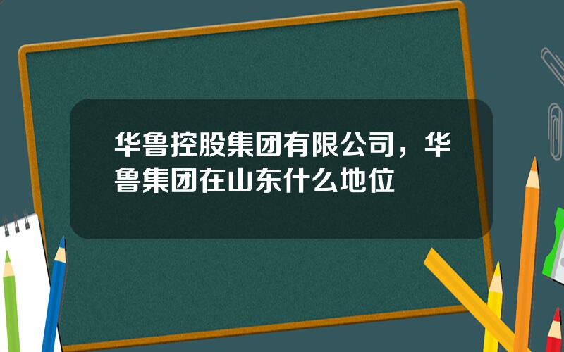 华鲁控股集团有限公司，华鲁集团在山东什么地位