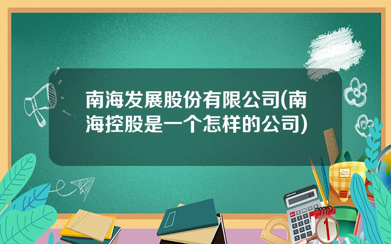 南海发展股份有限公司(南海控股是一个怎样的公司)