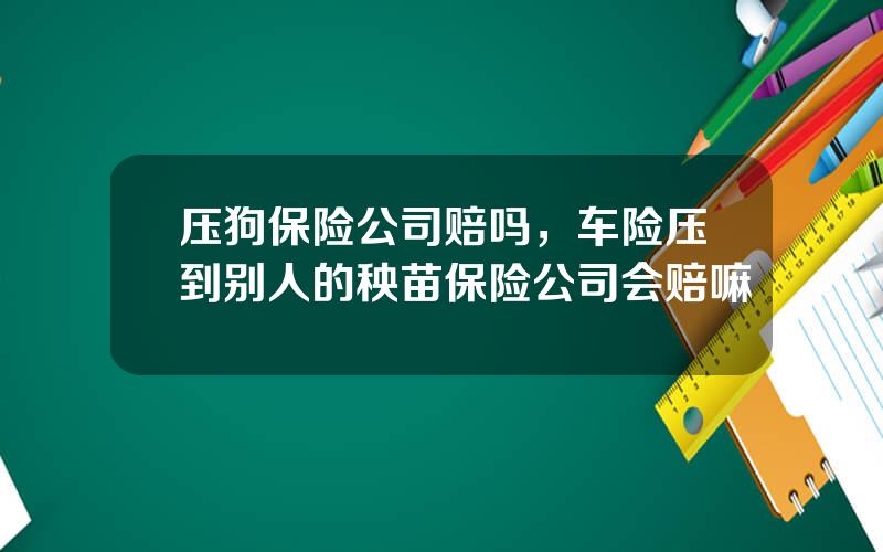压狗保险公司赔吗，车险压到别人的秧苗保险公司会赔嘛