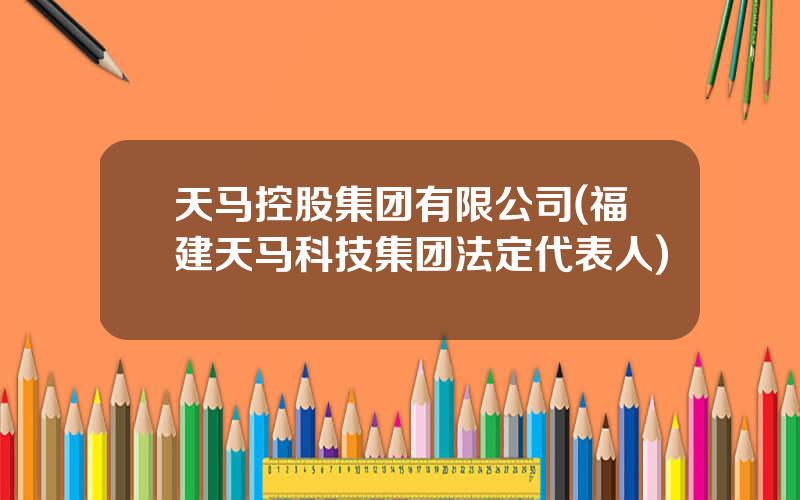 天马控股集团有限公司(福建天马科技集团法定代表人)