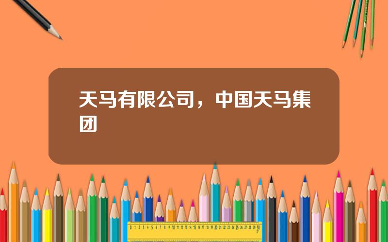 天马有限公司，中国天马集团