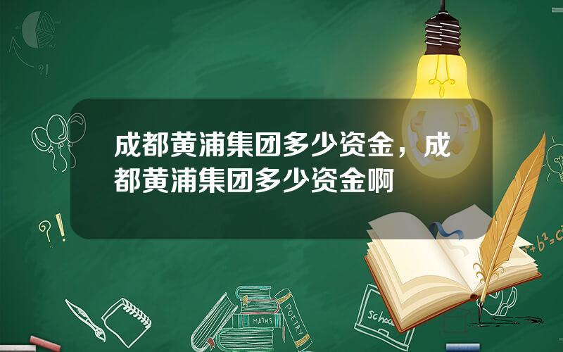 成都黄浦集团多少资金，成都黄浦集团多少资金啊
