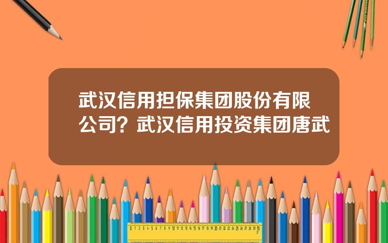 武汉信用担保集团股份有限公司？武汉信用投资集团唐武