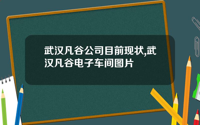 武汉凡谷公司目前现状,武汉凡谷电子车间图片