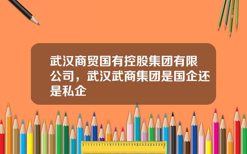 武汉商贸国有控股集团有限公司，武汉武商集团是国企还是私企