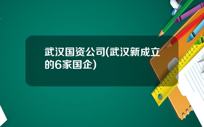 武汉国资公司(武汉新成立的6家国企)