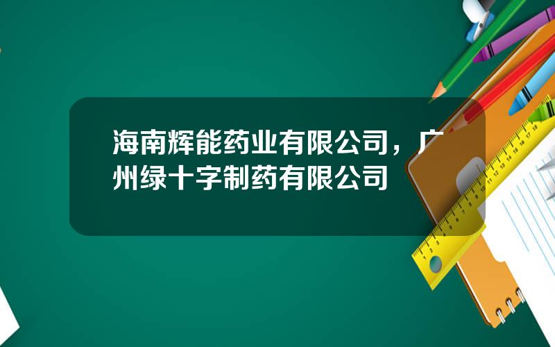 海南辉能药业有限公司，广州绿十字制药有限公司